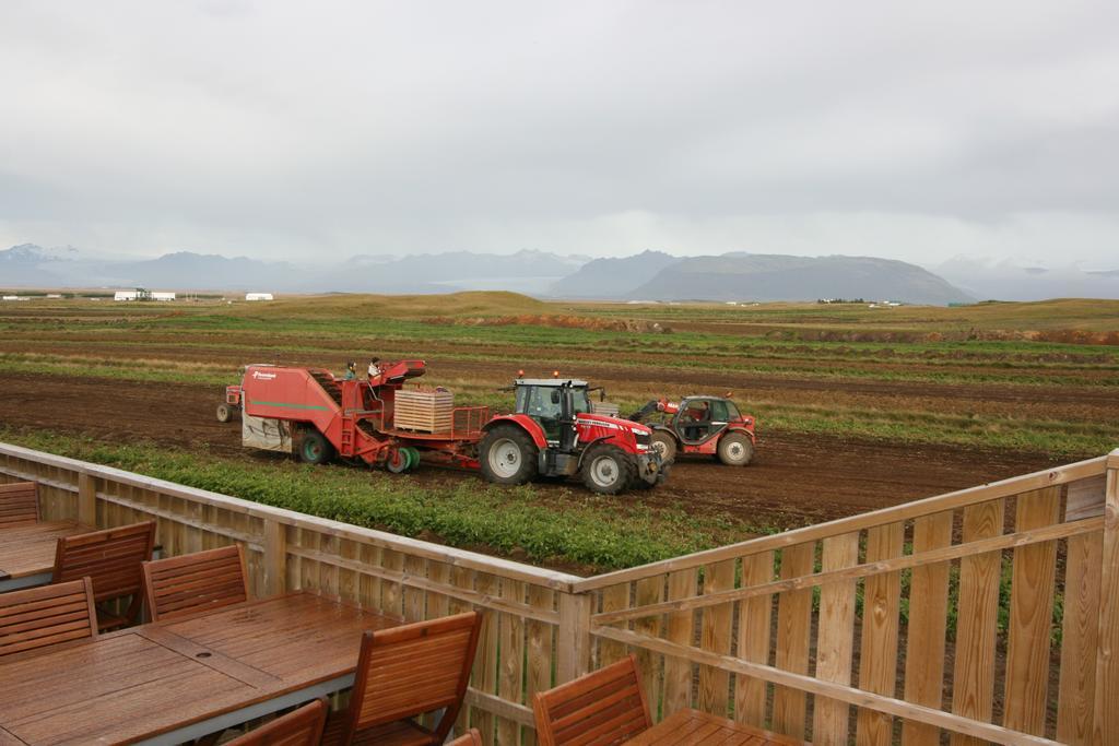 Arnanes Country Hotel Höfn Eksteriør billede